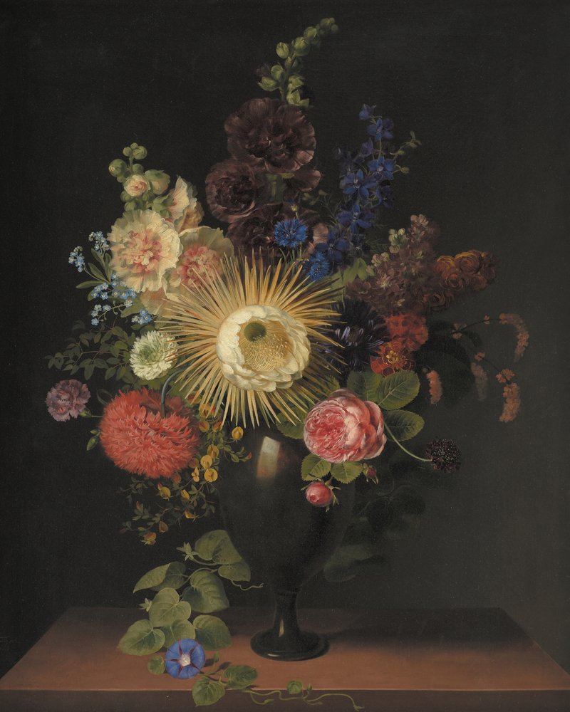 Um vaso de pórfiro com cacto Grandiflora e outras flores, da autoria de C. D. Fritzsch de C. D. Fritzsch