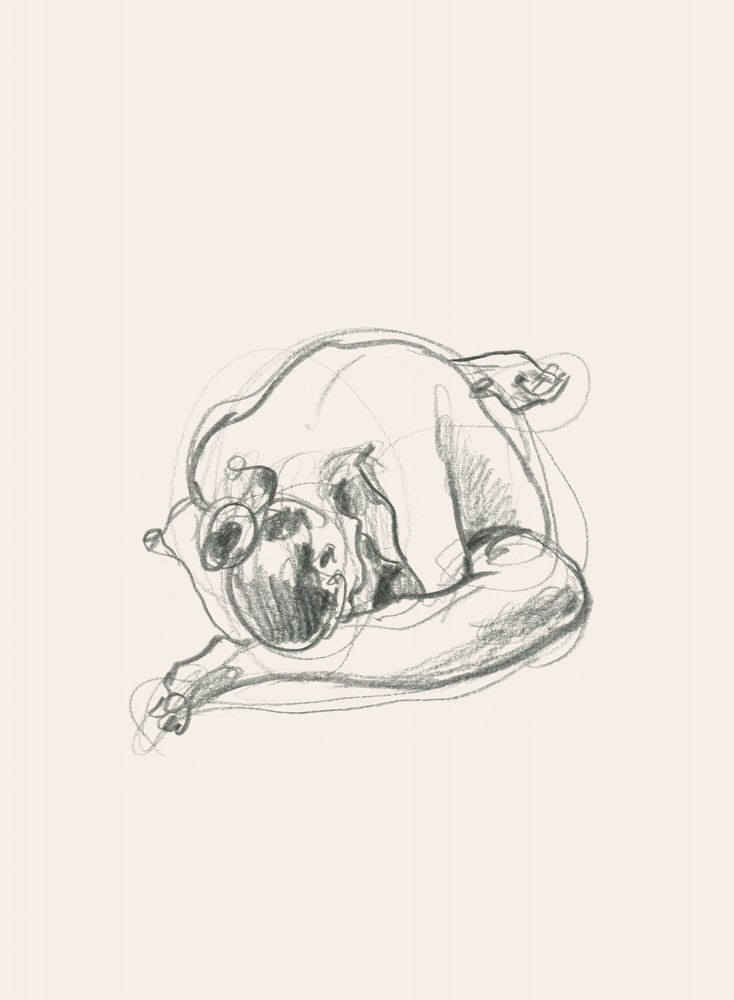 Figura Encolhida e Silenciosa de Catalina Somolinos