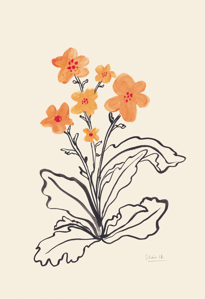 Flores de laranja vivo de Catalina Somolinos