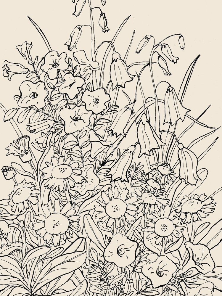 Flores silvestres de Catalina Somolinos