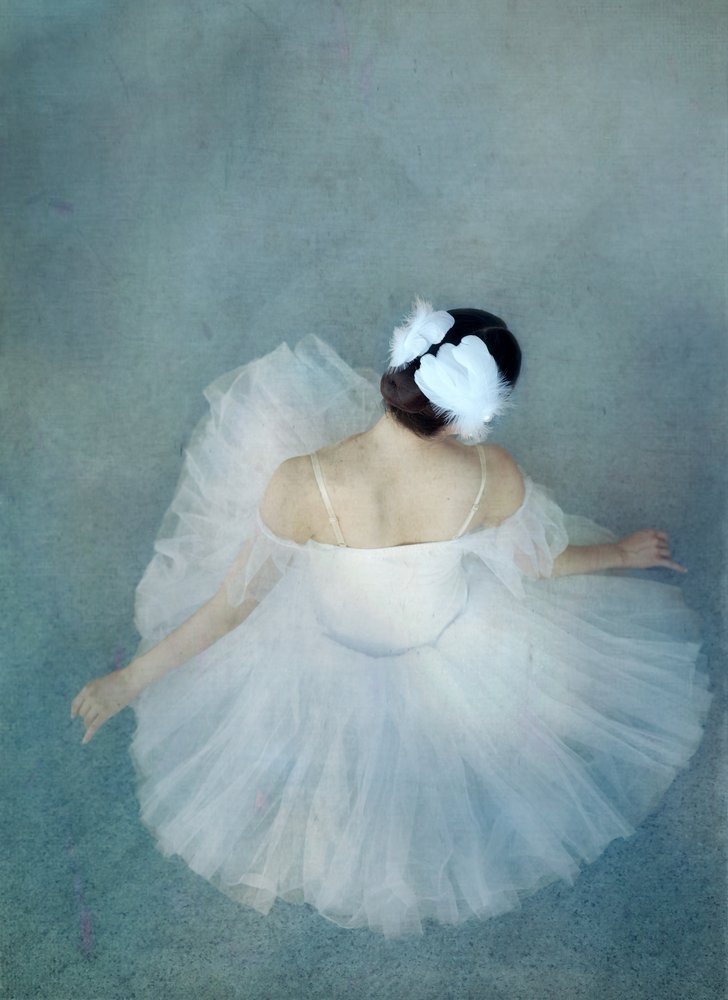 A elegante bailarina cisne de Catherine Wang