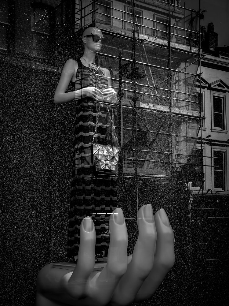  de Chris Hamilton