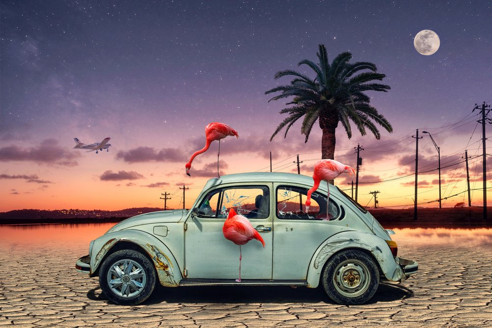 Noite no Deserto dos Flamingos Cor-de-rosa de Christian MARCEL