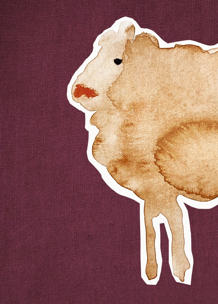 Ovelha Maroon1 de Christina Misuro