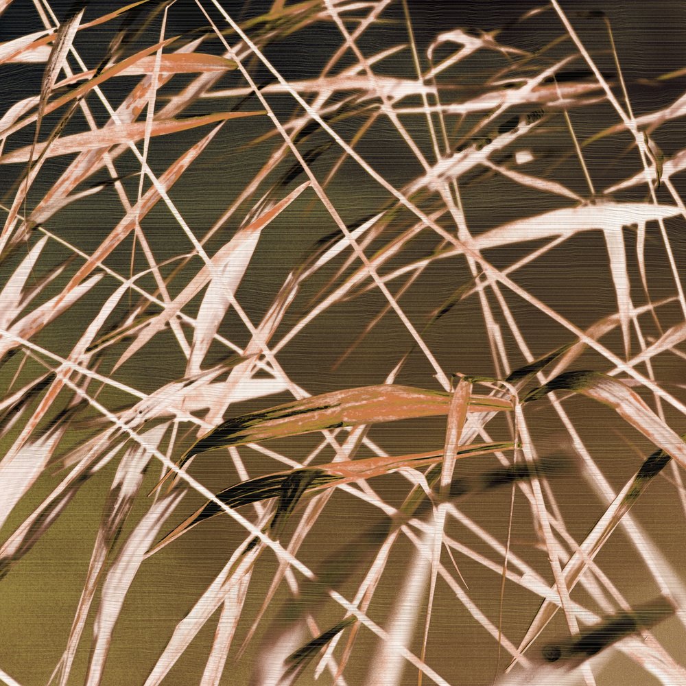 Padrões abstratos de junco de Christina Sillen