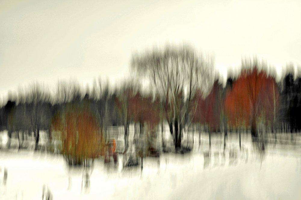 Resumo: Floresta de Inverno de Christina Sillen