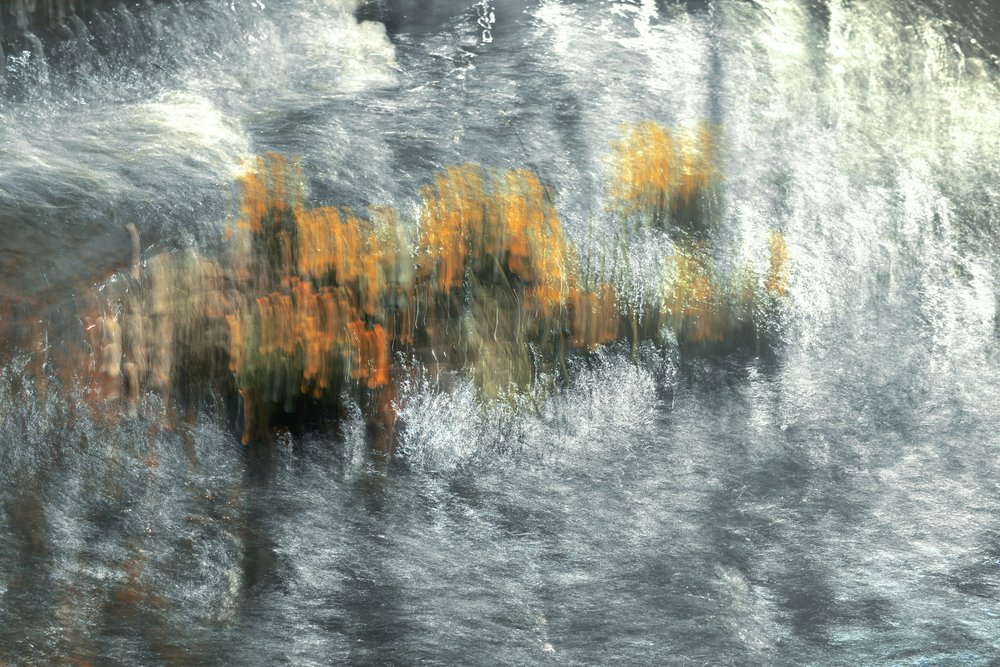  de Christina Sillen