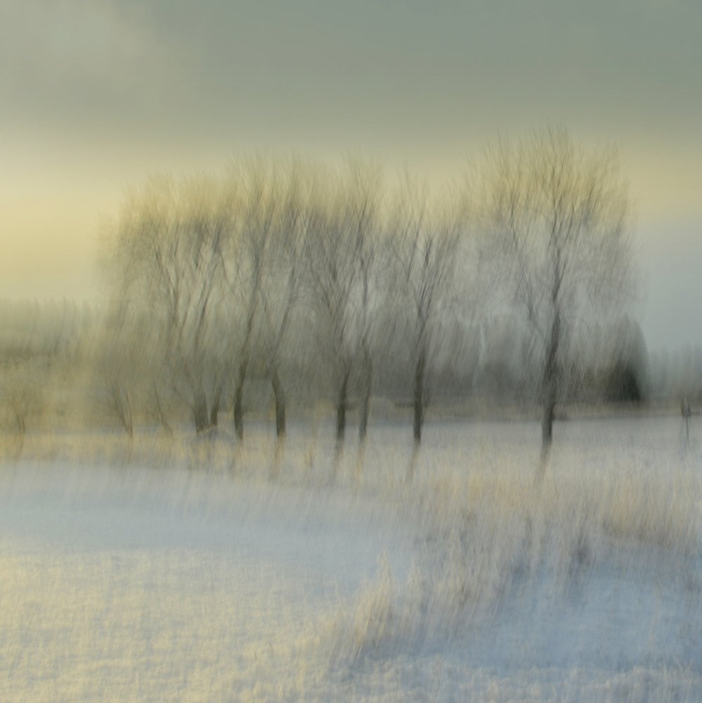  de Christina Sillen