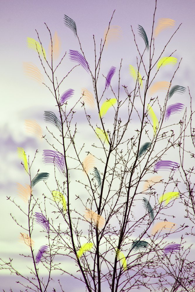 Ramos coloridos de primavera de Christina Sillen