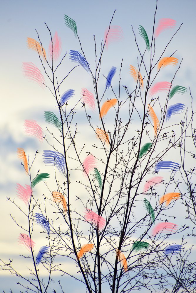 Ramos coloridos da primavera de Christina Sillen