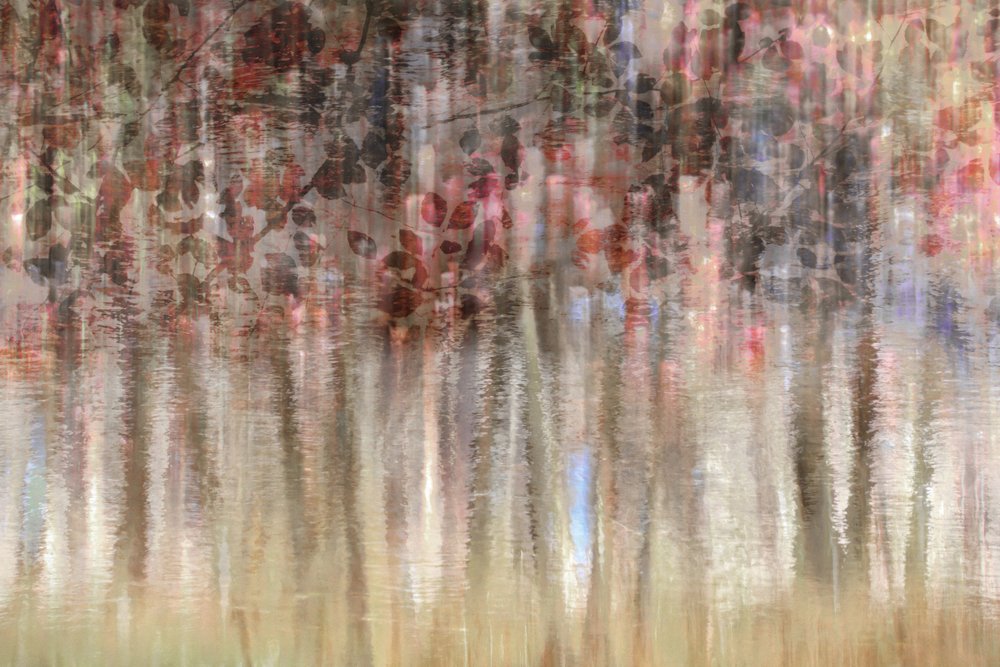 Reflexões outonais de sonho de Christina Sillen