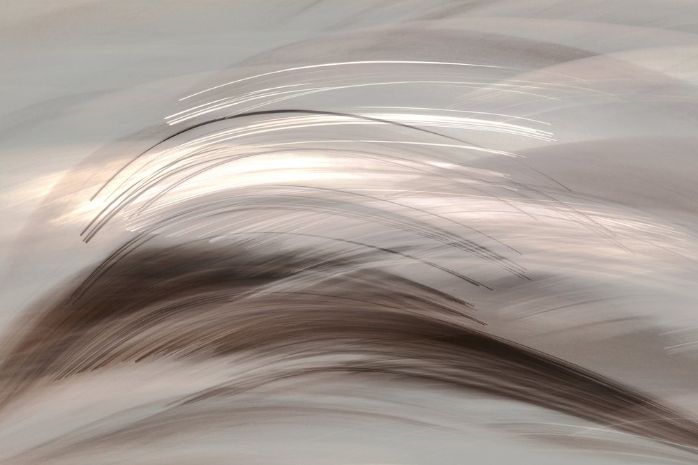 Luz abstrata e fluida de Christina Sillen