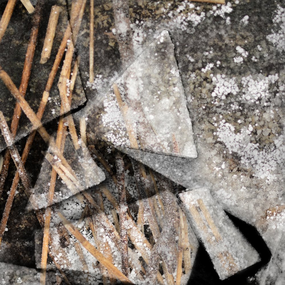 Juncos congelados e gelo de Christina Sillen