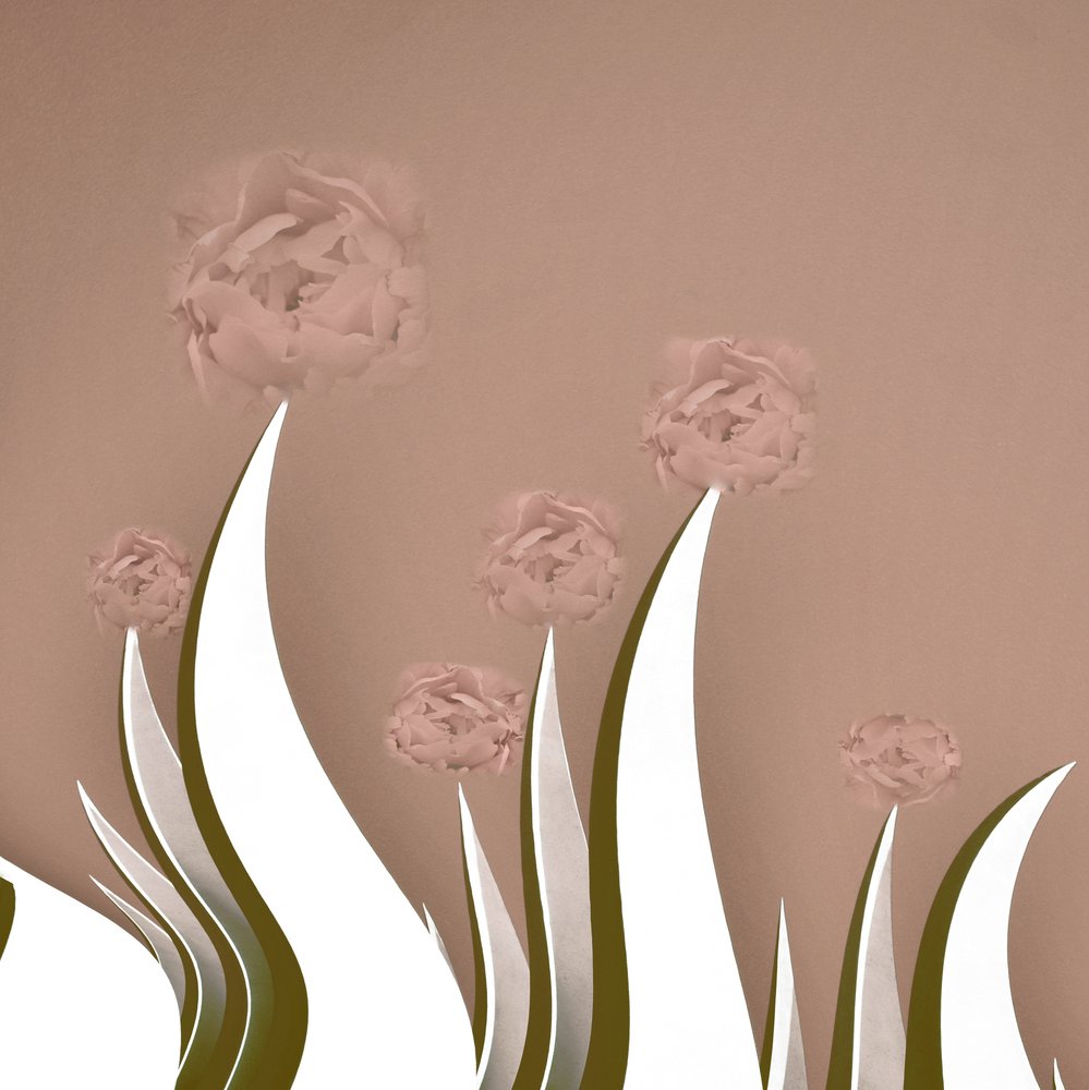 Flores rosa minimalistas de Christina Sillen
