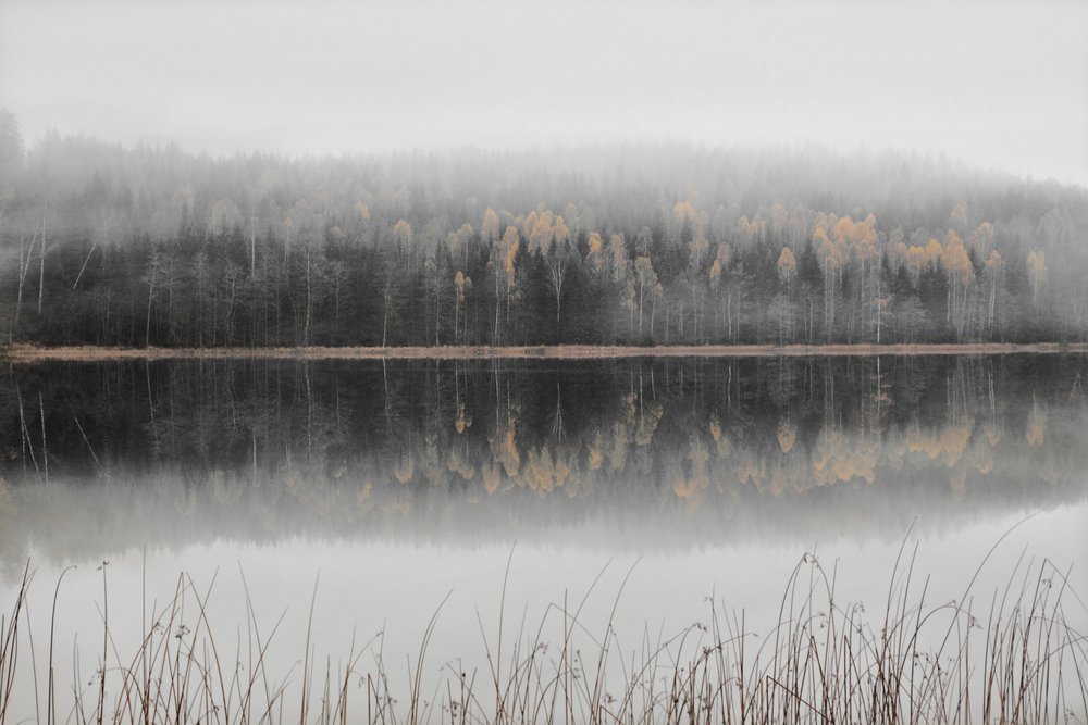 Lago enevoado de outono de Christina Sillen