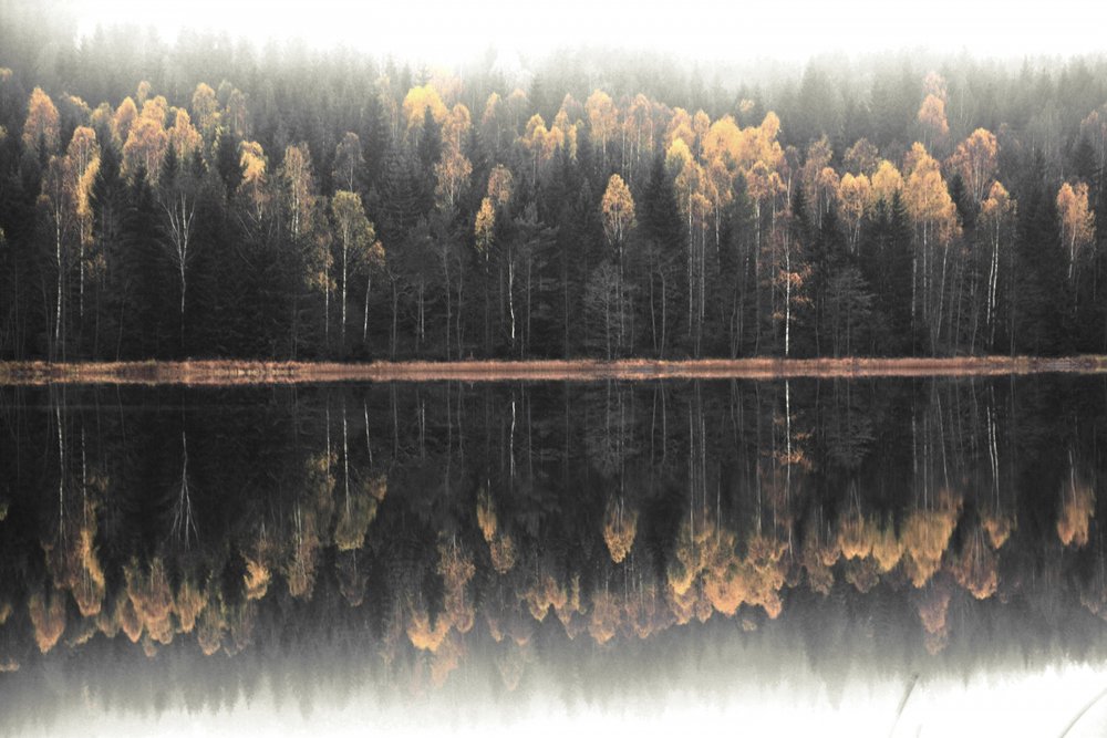 Reflexão outonal enevoada de Christina Sillen