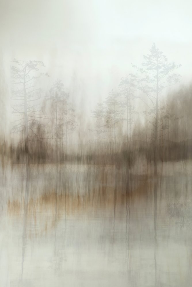 Reflexões da Floresta Ennevoada de Christina Sillen