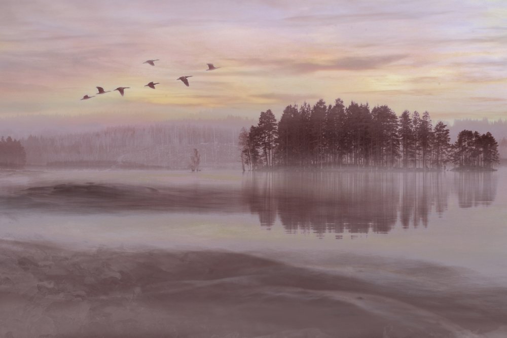 O Voo das Aves do Lago Misty de Christina Sillen