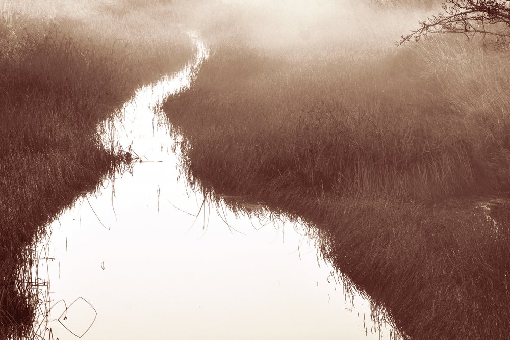 Trilha do Rio Misty de Christina Sillen