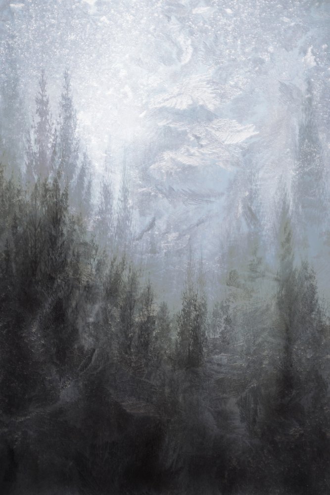  de Christina Sillen