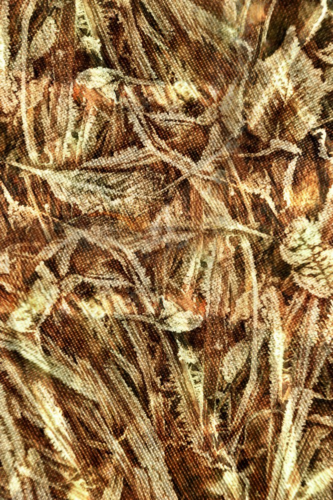 Padrão de camuflagem natural de Christina Sillen