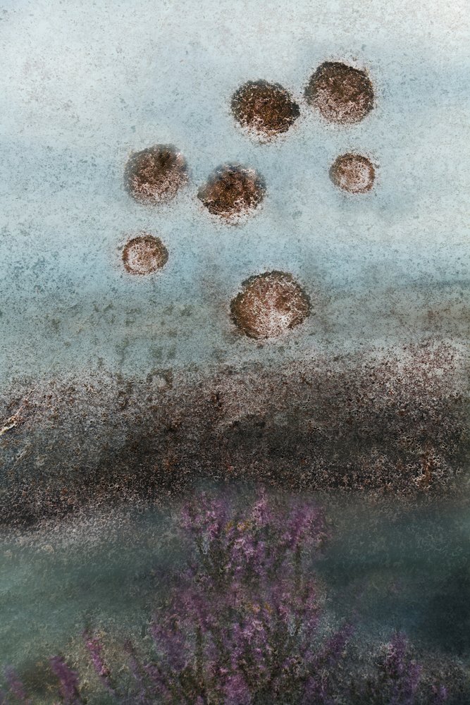 Flores roxas e céu abstrato de Christina Sillen
