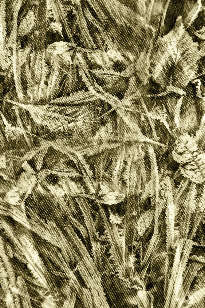 Textura de folha rústica de Christina Sillen