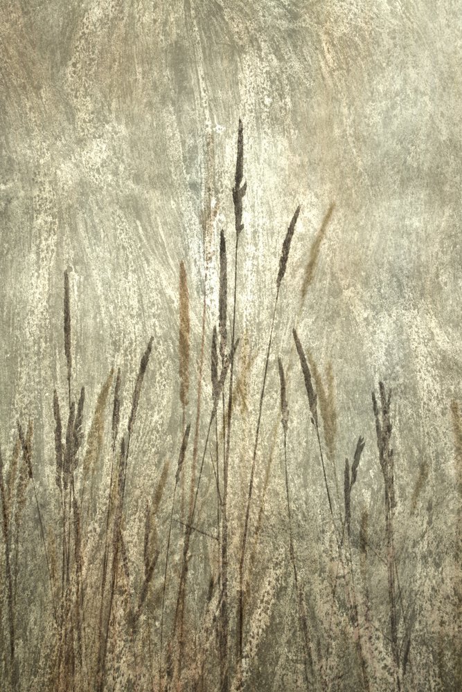  de Christina Sillen