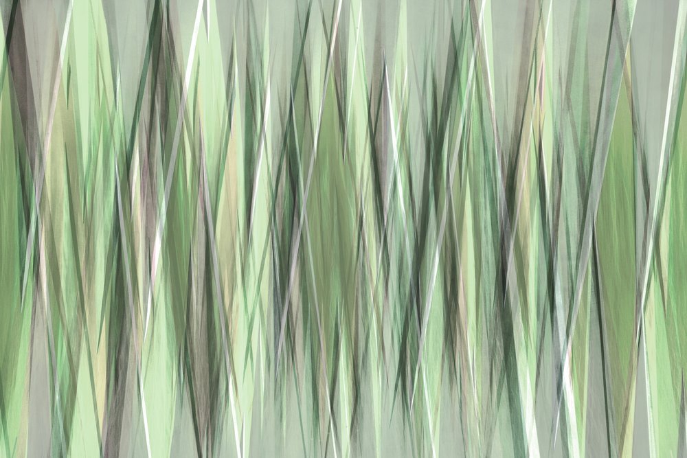 Lâminas Verdes Serenas de Christina Sillen