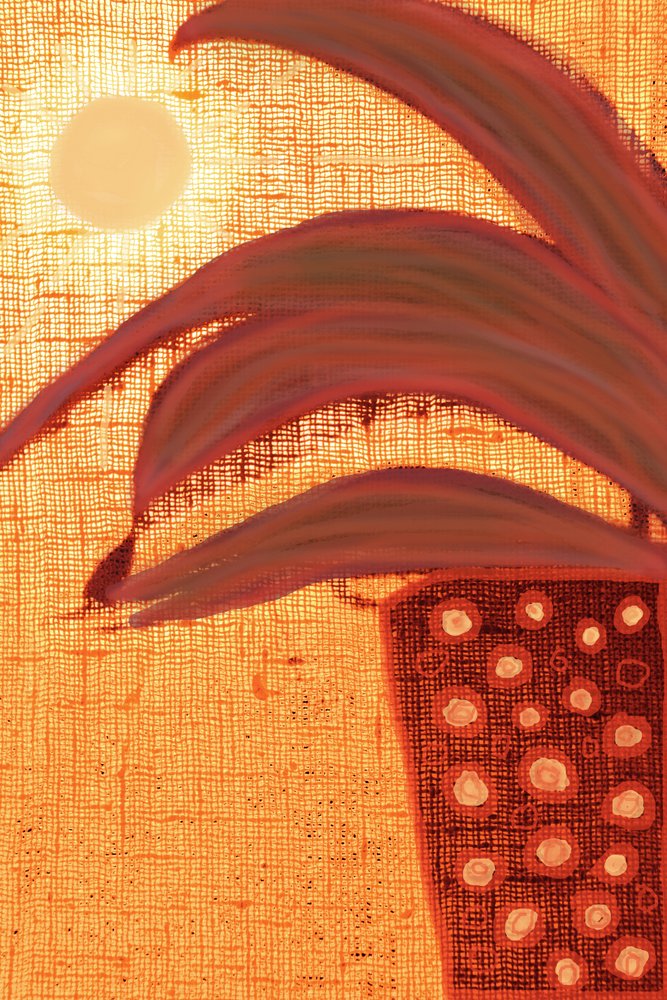 Planta do deserto ensolarado de Christina Sillen