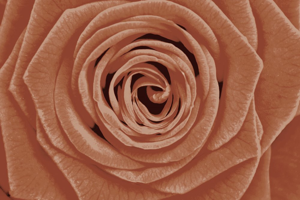 Detalhe em terracota rosa de Christina Sillen