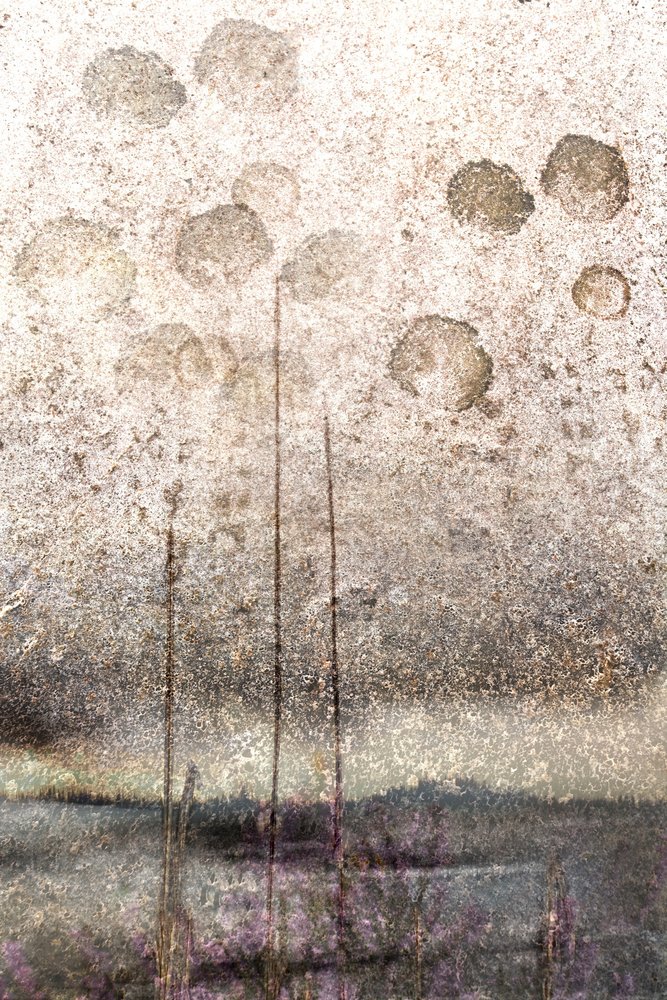 Juncos do Lago com Textura de Christina Sillen
