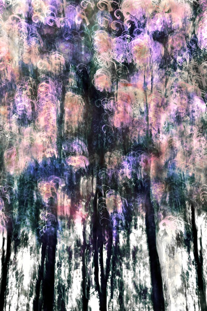 Sonhos da Floresta Vibrante de Christina Sillen