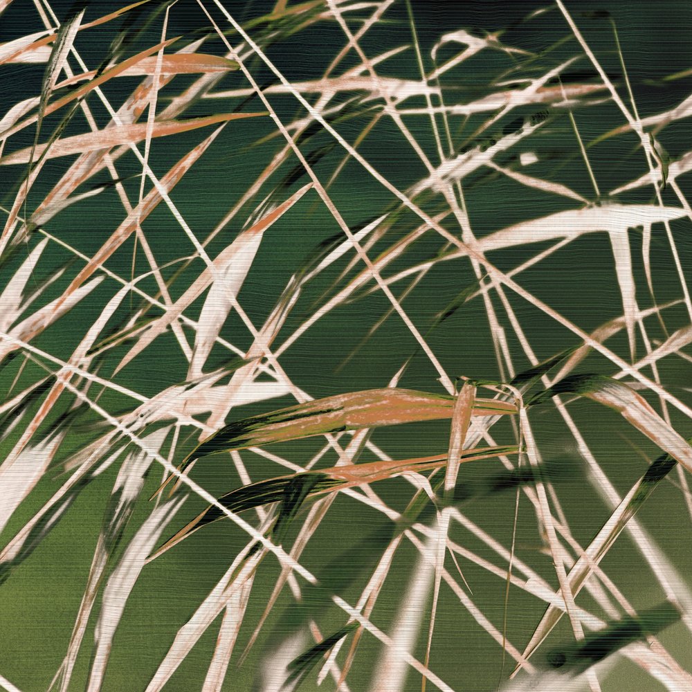 Resumo de «Whispering Reeds» de Christina Sillen