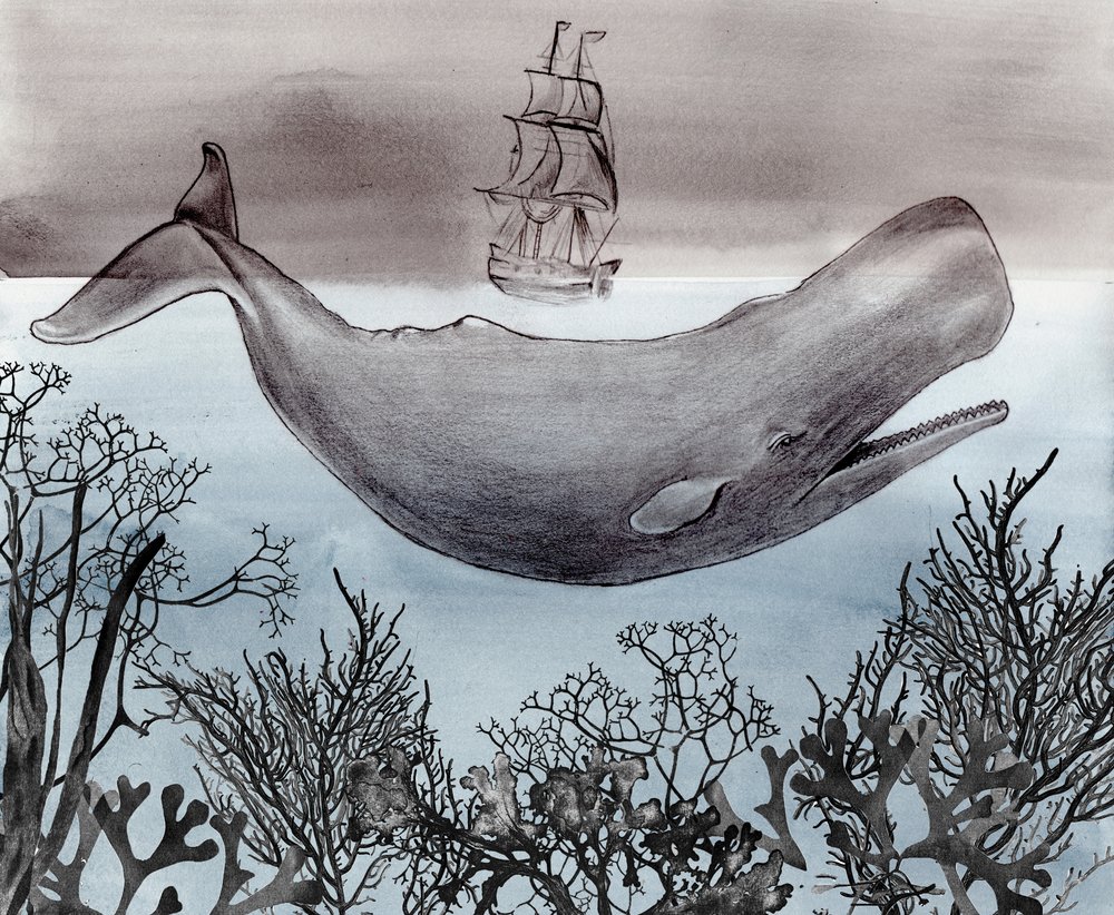 Navio de observação de baleias nas profundezas do oceano de Christine Lindstrom