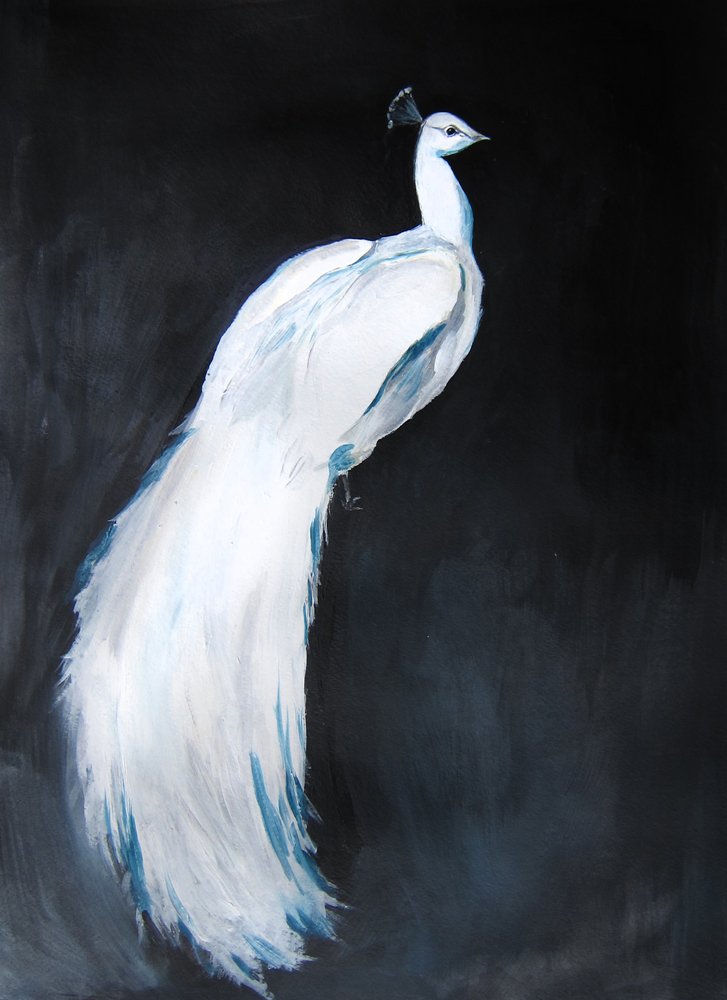 Pavão Branco Elegante de Christine Lindstrom