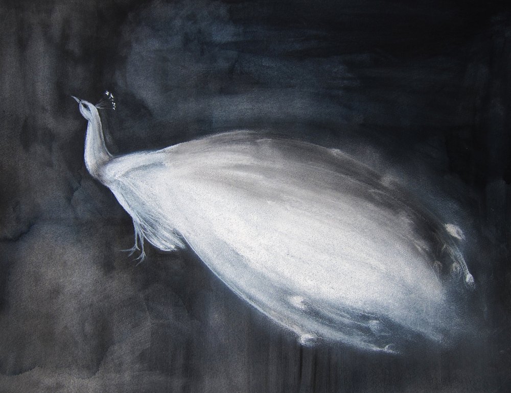 Pavão Branco Etéreo de Christine Lindstrom