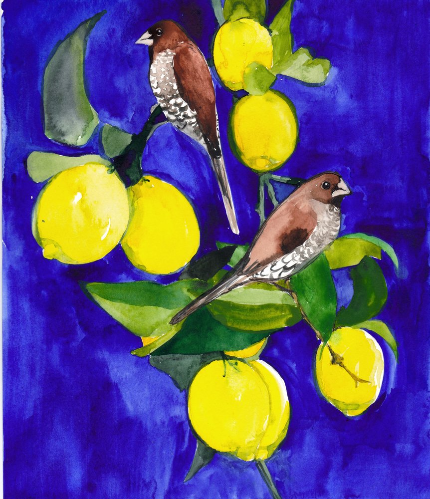 Pintassilgos num ramo de limoeiro de Christine Lindstrom