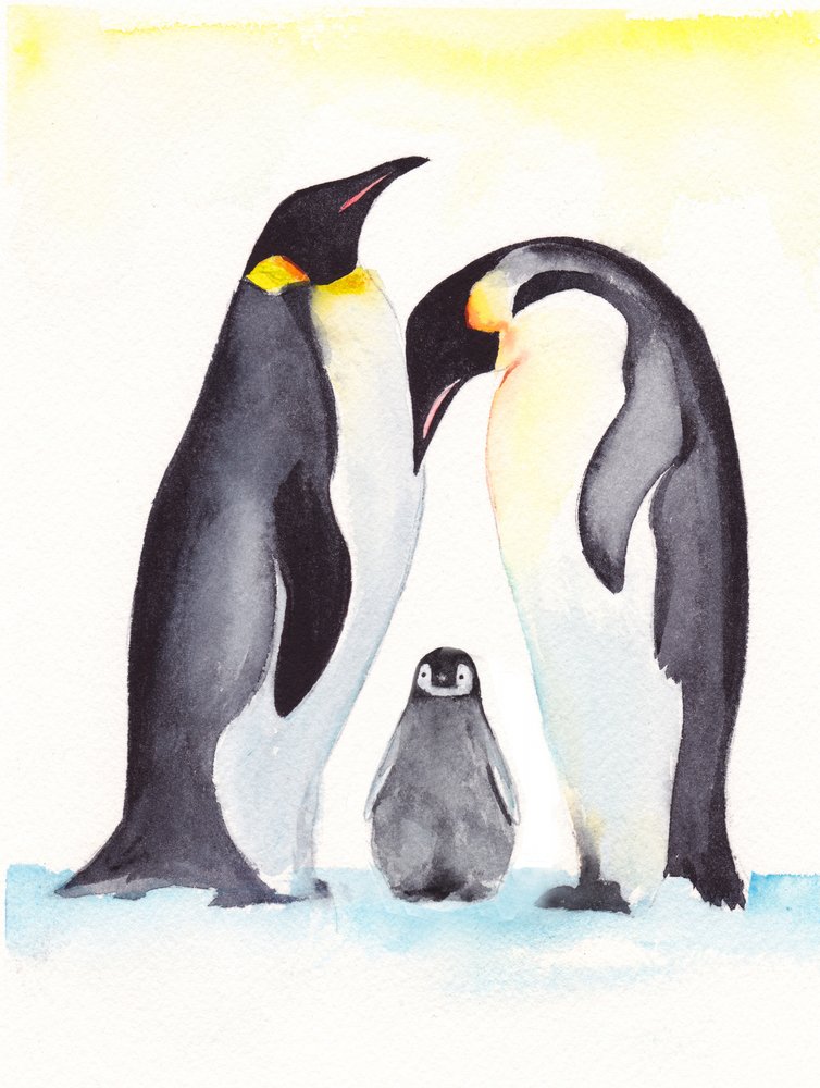 A Simpática Família dos Pinguins de Christine Lindstrom
