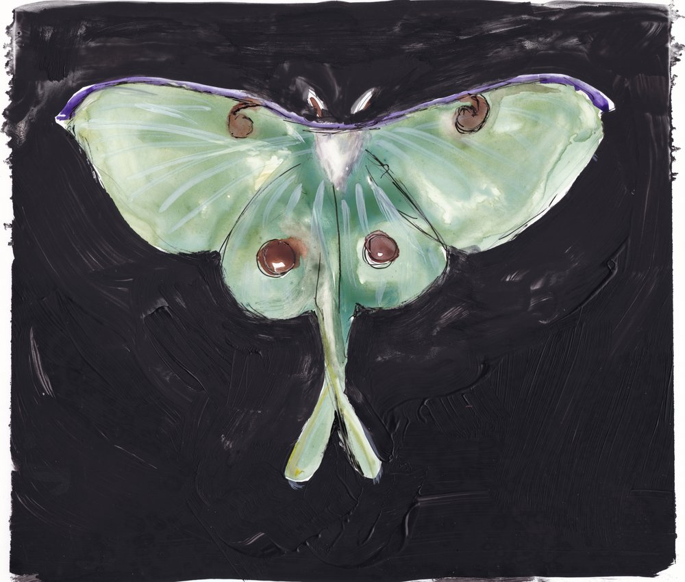 Mariposa-luna-verde de Christine Lindstrom