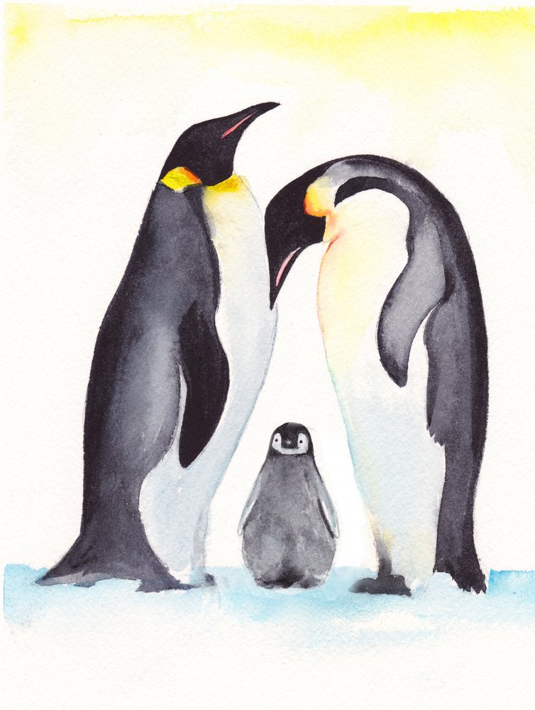 Retrato de família de pinguins de Christine Lindstrom