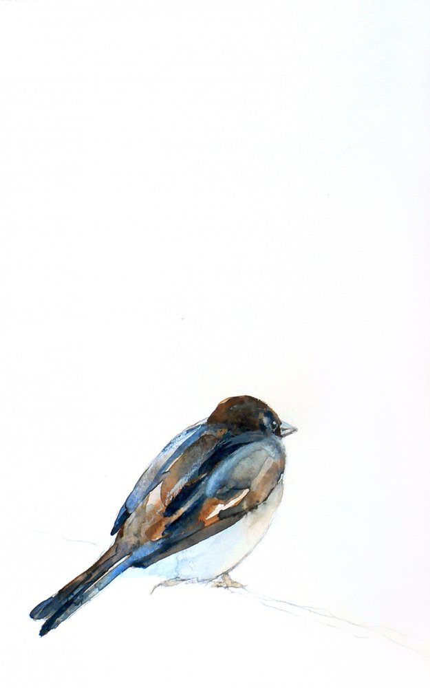 Aquarela de um pardal pousado de Christine Lindstrom