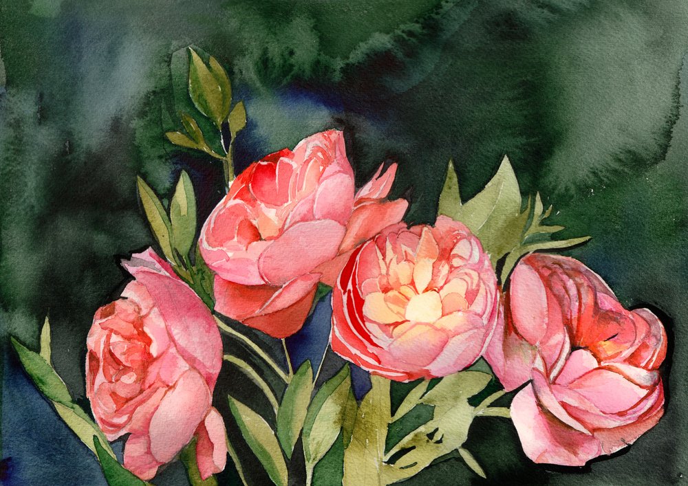 Flores em aquarela rosa de Christine Lindstrom