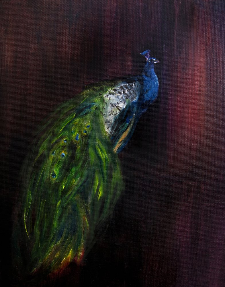Retrato de um pavão majestoso de Christine Lindstrom