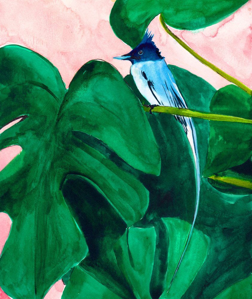 Pássaro tropical na folha de monstera de Christine Lindstrom