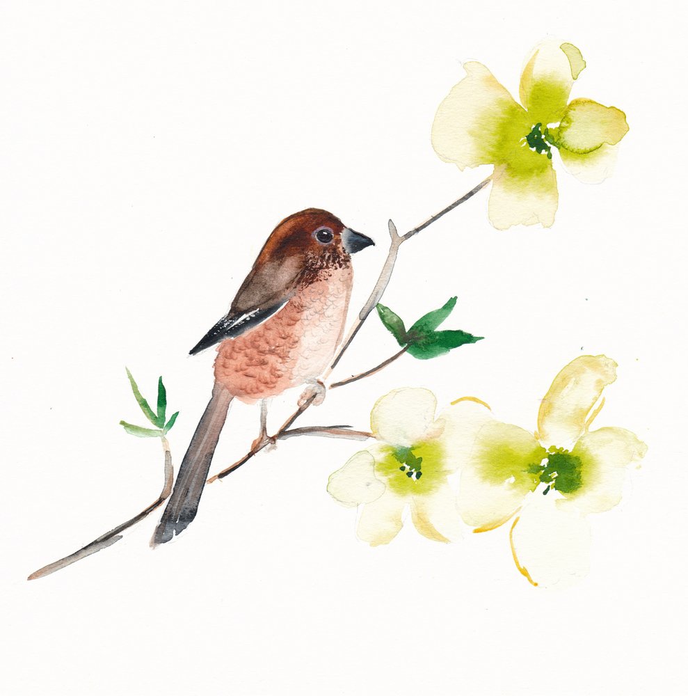Pássaros e flores em aguarela de Christine Lindstrom
