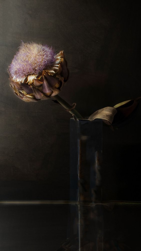 Flor de alcachofra melancólica de Christine SUISSIA