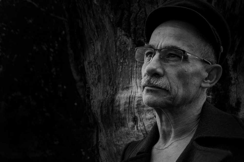 Retrato de um homem contemplativo de Christine von Diepenbroek