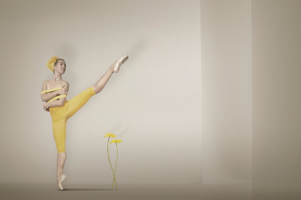 Grace, a Bailarina Amarela de Christine von Diepenbroek
