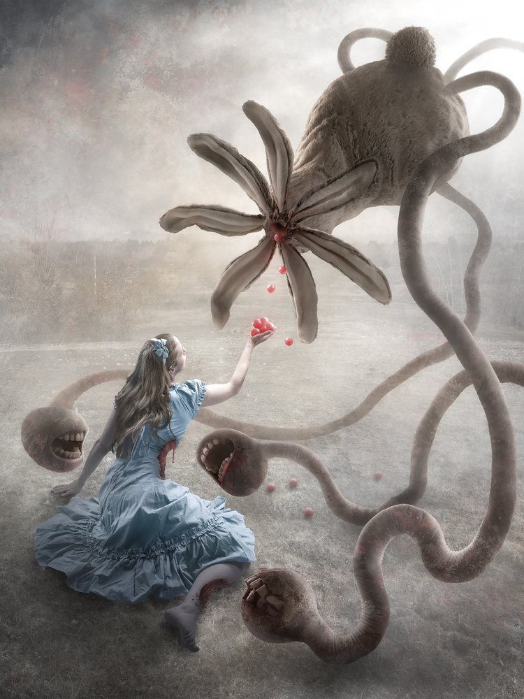  de Christophe Kiciak
